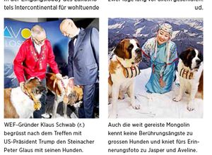 Als Trump ging, kamen die Bernhardinerhunde